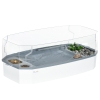 Turtle Tank Kit, Turtle Aquarium with Basking Platform, Water Pump, Filter Layer Design, Reptile Habitat main image 1