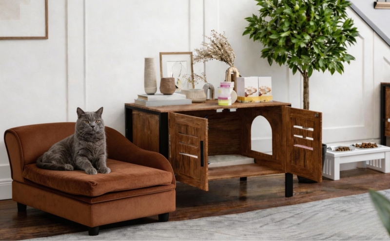 A Calm Corner for Modern Cat Living