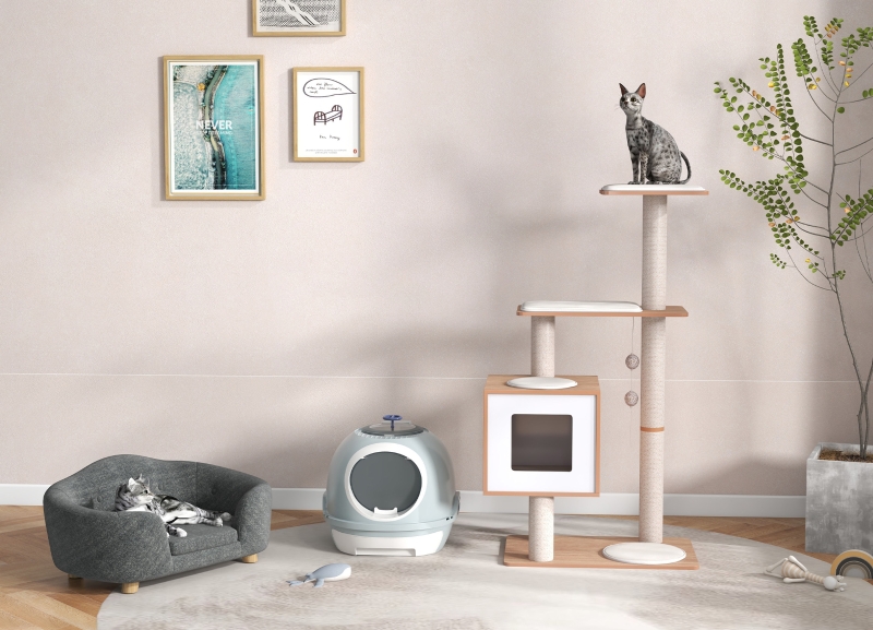 宠物-室内宠物品193