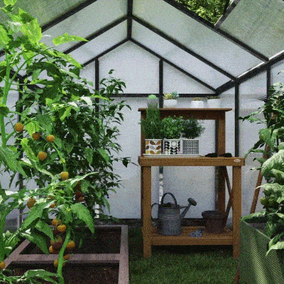 Outsunny Polycarbonate Greenhouse, Aluminum Walk-In Green House Kit Garden, 6' x 10' x 6.4', Charcoal Grey