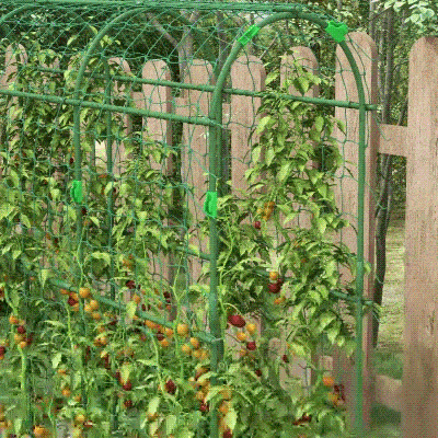 Outsunny Metal Garden Trellis, Arch Trellis for Climbing Plants Outdoor, A-Frame, with Climbing Net, 17" x 72" x 72"