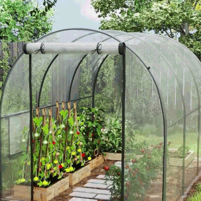 Outsunny Polytunnel Greenhouse with Roll-up Door and Mesh Window, Walk-in Grow House Tent with Steel Frame, 3 x 2 x 2 m, Clear