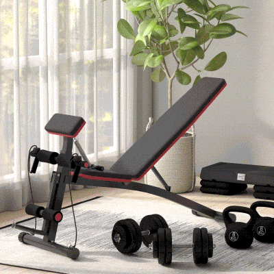 Soozier Foldable Press Bench Adjustable Dumbbell, Weight Training Bench Exercises Gym Chair, Black & Red