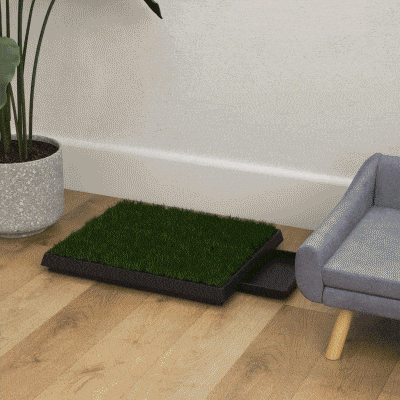 PawHut Dog Grass Pad with Tray, Artificial Grass for Dogs, Doggy Bathroom Toilet Potty Tray Indoor Outdoor Puppy Potty Training (51 x 63 CM)