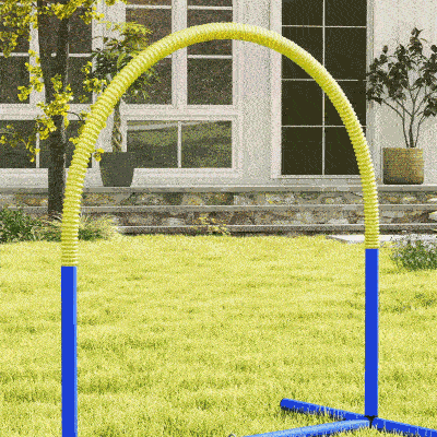 PawHut Dog Agility Training Equipment, 4 PCS Obstacle Course with Carrying Bag for Old Dogs, for Backyard, Outdoor, Blue
