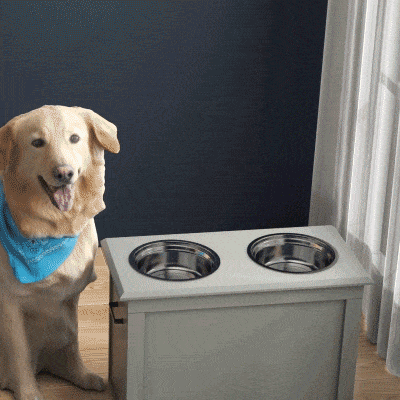 PawHut Raised Pet Feeding Station with 2 Bowls, Gray