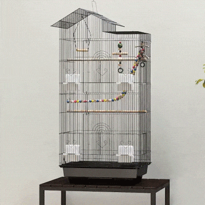 PawHut 39" Bird Cage for Budgie, Cockatiel, Conure, Small Birds, with Ladder, Swing, Toys, Perches, Tray, Feeding Bowls, Handle